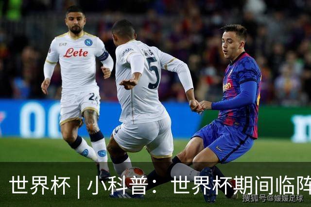 世界杯 | 小科普：世界杯期间临阵换帅，有先例吗？
